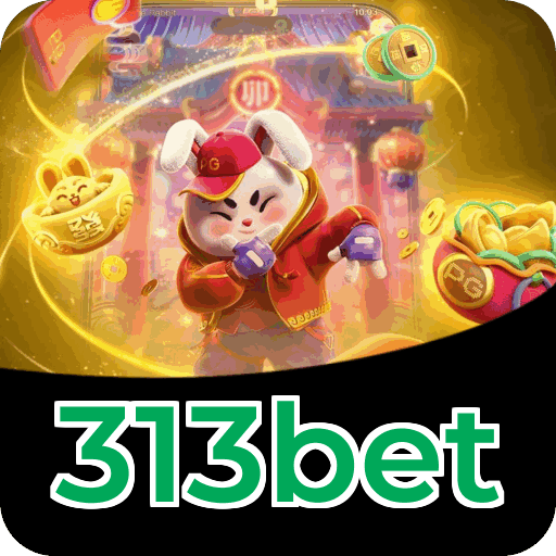 Suporte 313bet